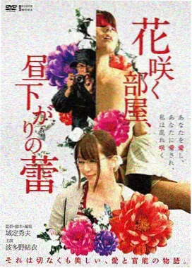 秋霞影视 都市迷情